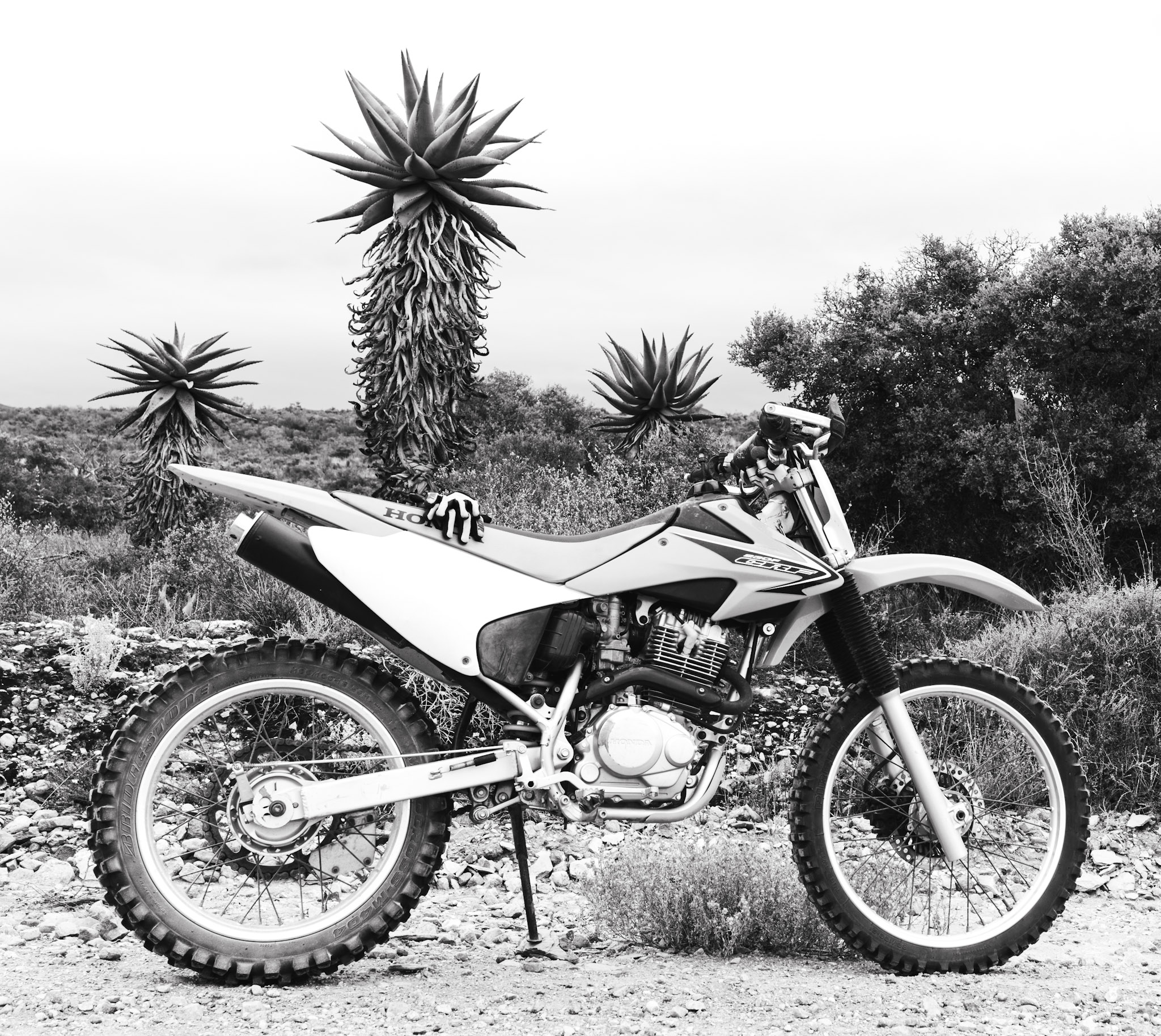 Honda CRF 230