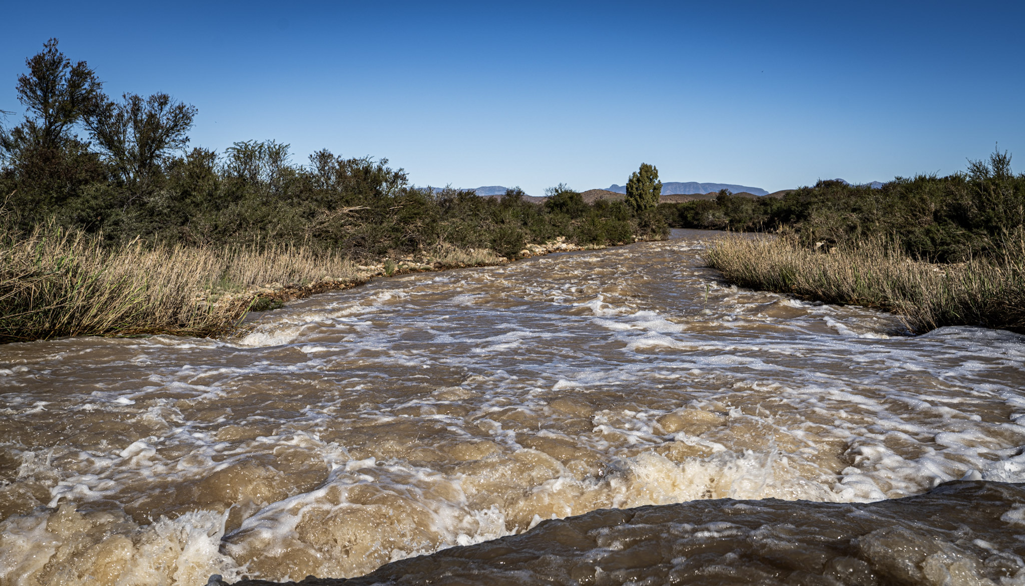 Strong Waters