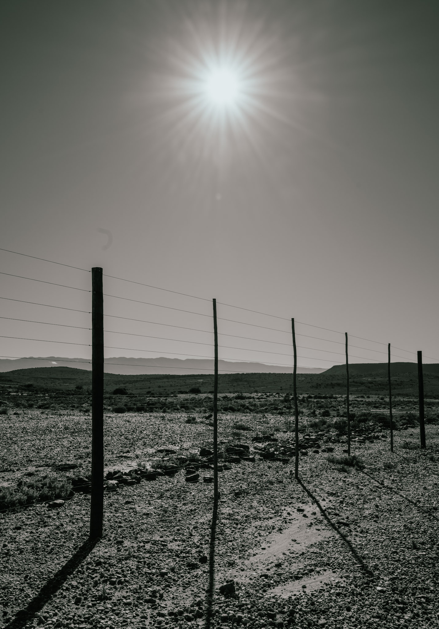 Freedom or Captive Fence