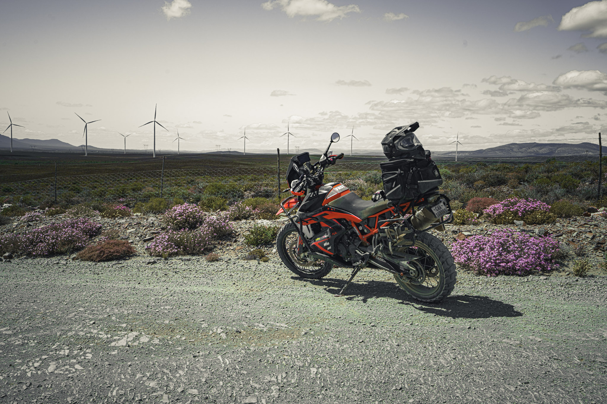 Flowers and Machine