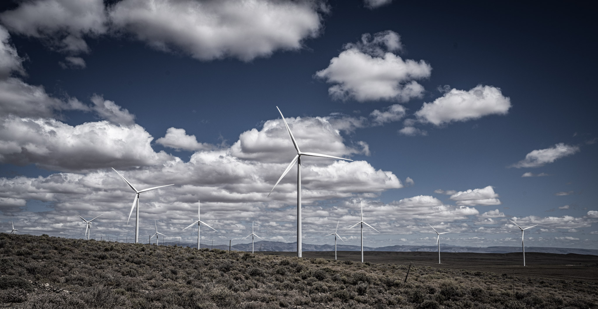Wind Turbines of the Karoo