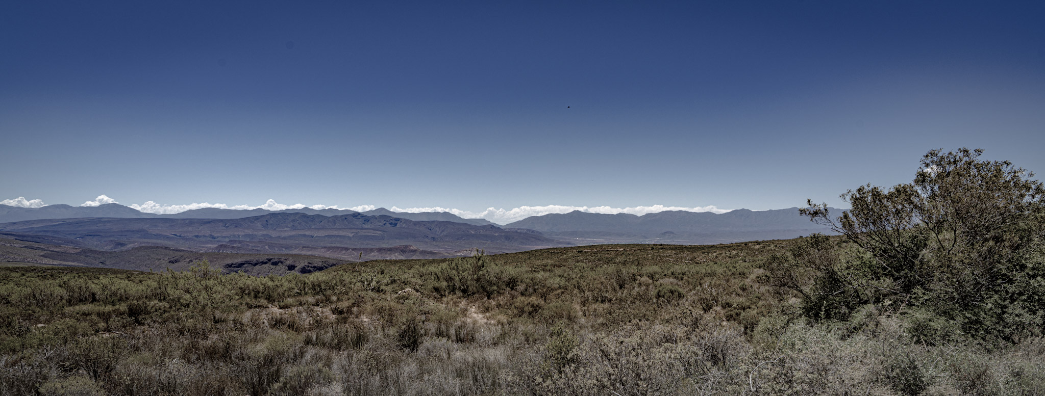 View towards Calitzdorp