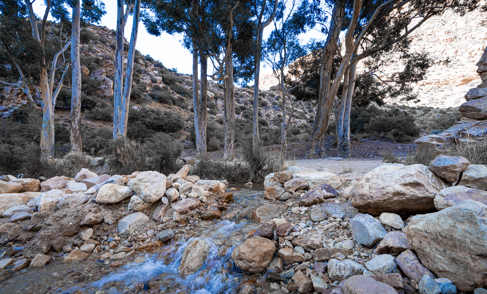 Fresh Swartberg Mountain Water