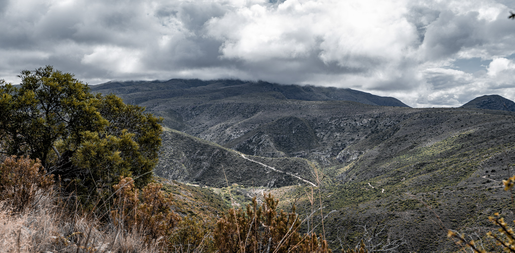 The gravel track in the distance